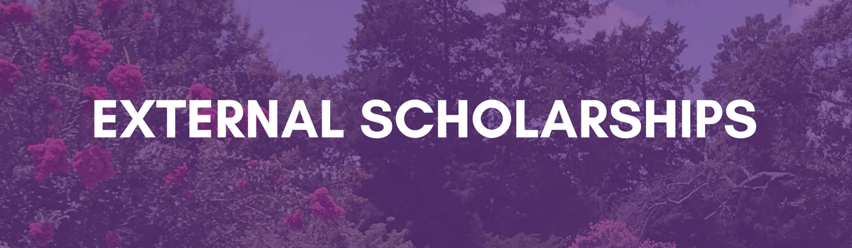  External Scholarships